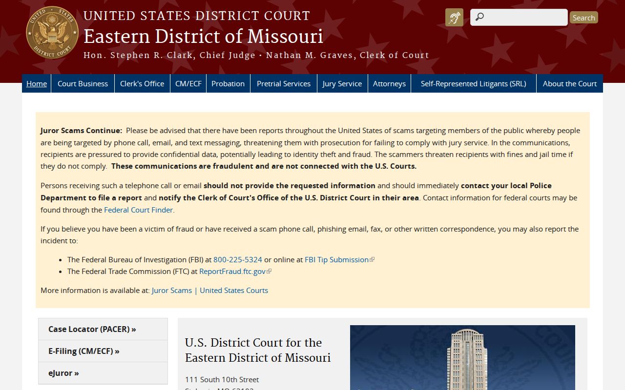 St. Louis City criminal history Eastern District federal court records